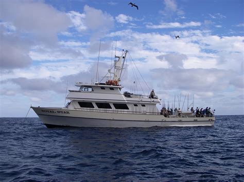 royal star sportfishing|Royal Star Long.